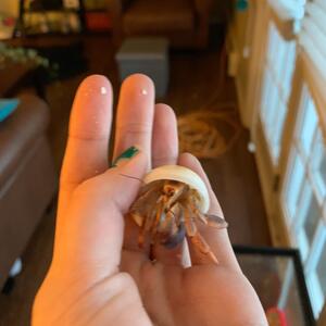 Gallery Photo 39
