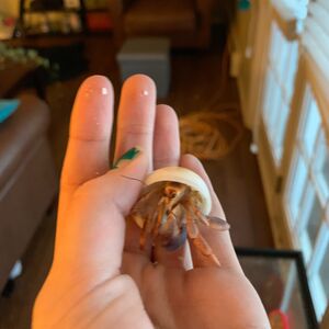 Gallery Photo 39