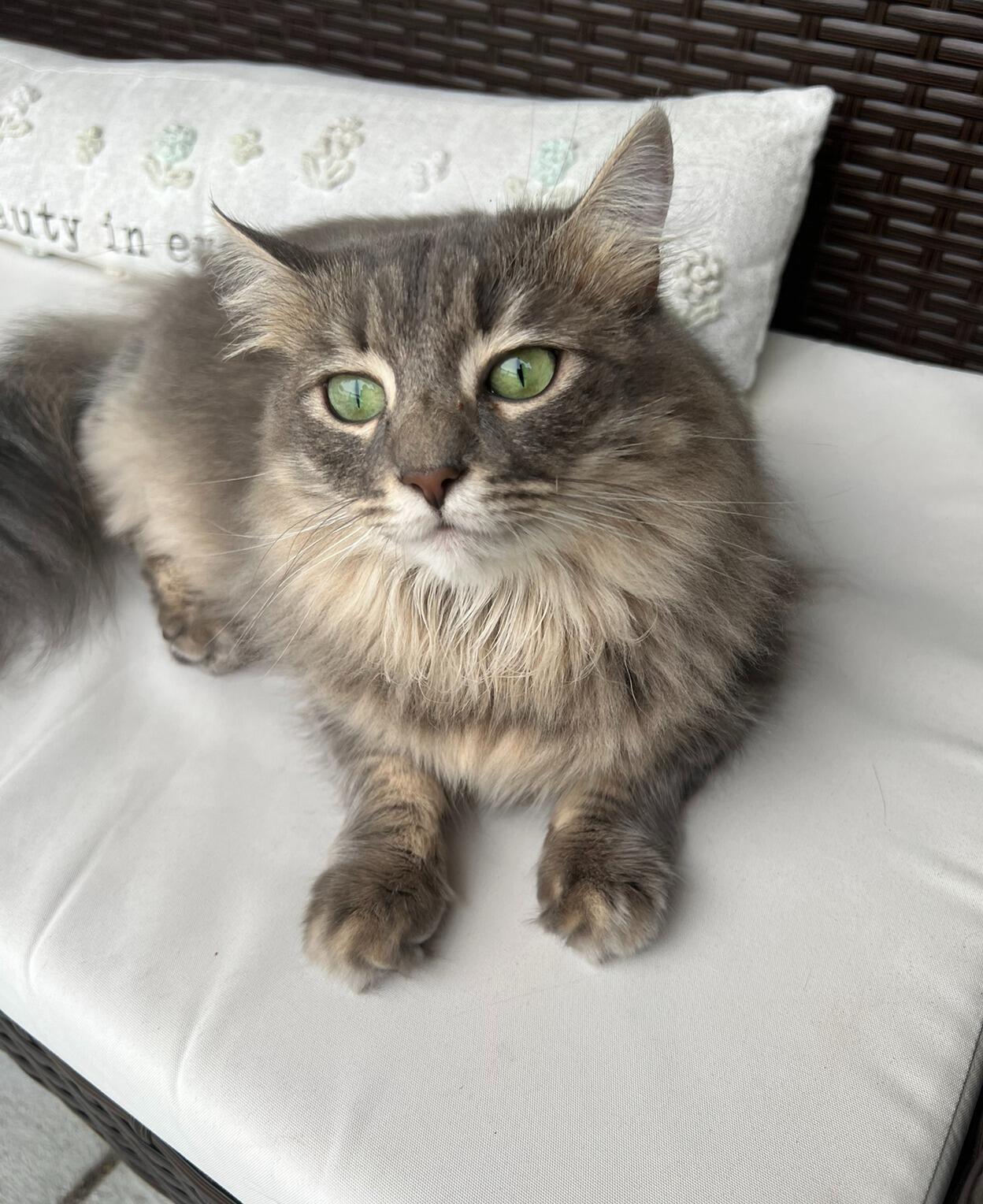 Added Leah to the fam