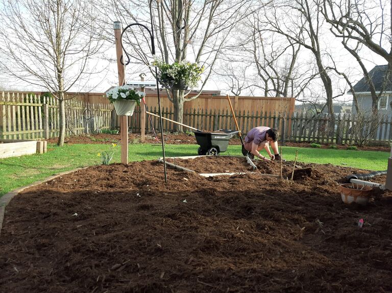Mulching the garden