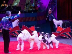 The Olate's Family Dogs - Circus Performer - Sorrento, FL - Hero Gallery 2