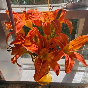Gallery Photo 13
