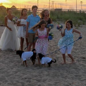 Gallery Photo 33