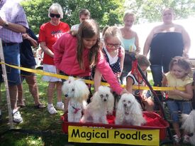 Michelle's Magical Poodles - Circus Performer - Destin, FL - Hero Gallery 4