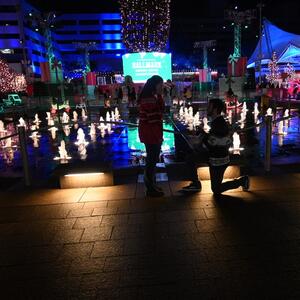 Gallery Photo 1