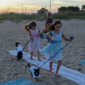 Gallery Photo 35