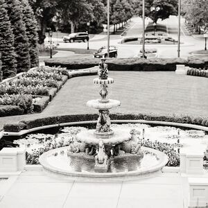 Gallery Photo 354