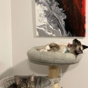 Gallery Photo 20