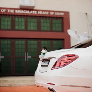 Gallery Photo 17