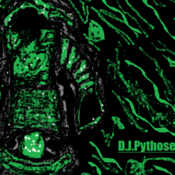 DJ Pythose, profile image