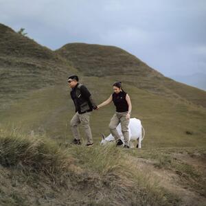 Gallery Photo 53