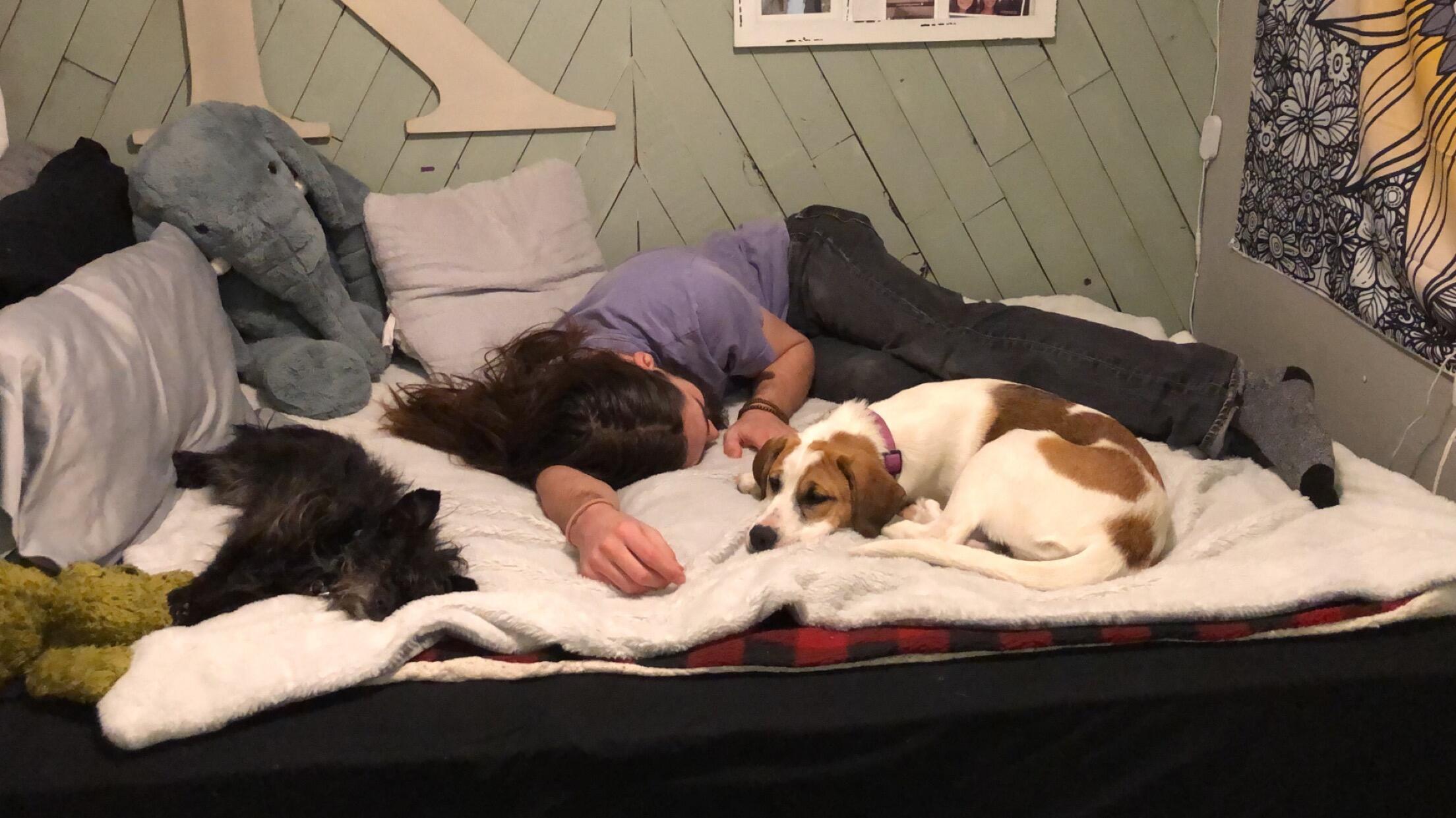 We added Kleio to our family. 