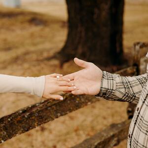 Gallery Photo 49