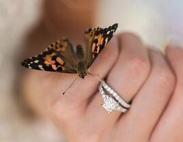 12 Stunning Butterfly Garden Wedding Venues That Impress