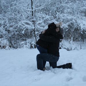 Gallery Photo 12