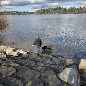 Gallery Photo 47