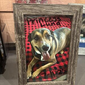 Gallery Photo 4