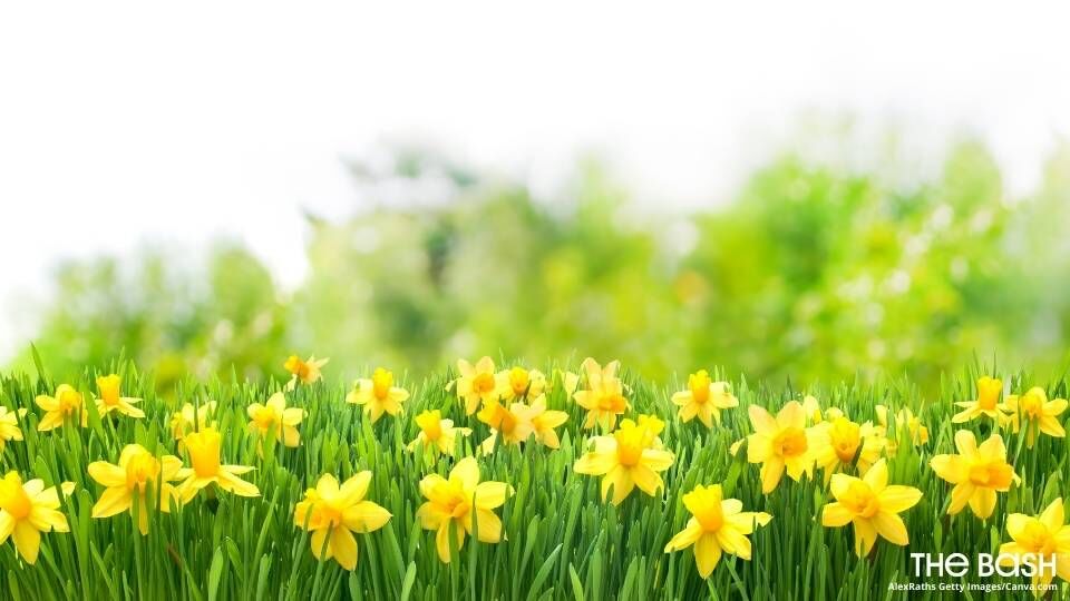 Spring Easter Zoom Background