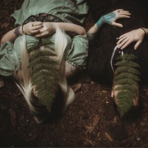 Gallery Photo 6