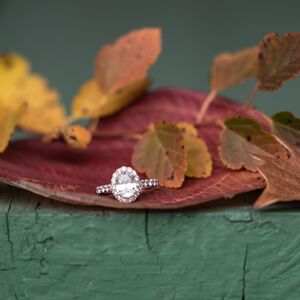 Gallery Photo 36