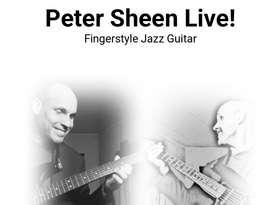 Peter Sheen - Singer Guitarist - Kansas City, MO - Hero Gallery 2