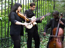 iconiQ Strings - String Quartet - New York City, NY - Hero Gallery 3