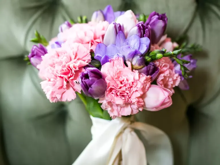 Radiant Tulip and Carnation Bouquet