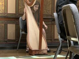 Caroline Lacitignola- Harpist - Harpist - Washington, DC - Hero Gallery 3