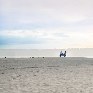 Gallery Photo 26