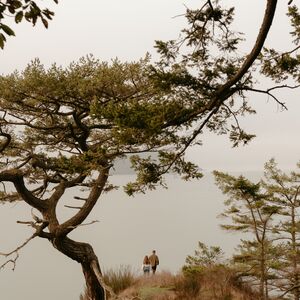 Gallery Photo 161