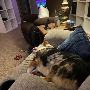 Gallery Photo 39
