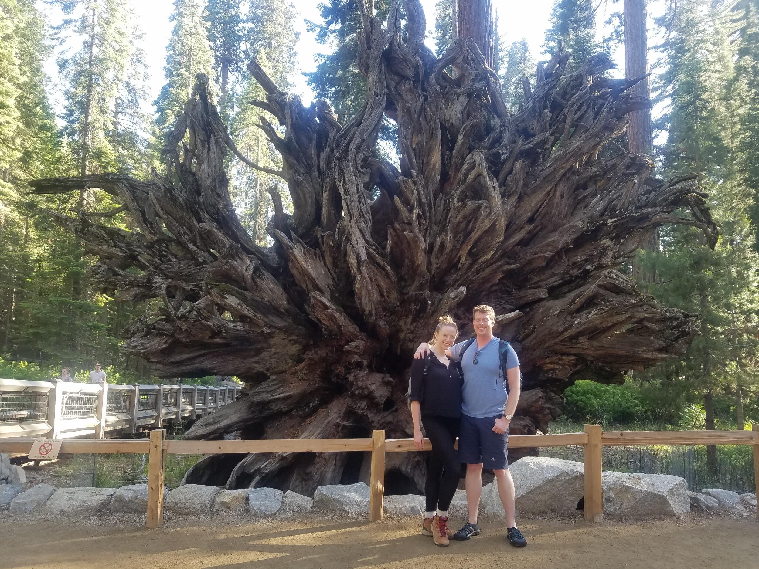 Road trip down Highway 1. First stop: Mariposa Grove, California