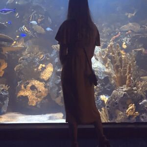 Gallery Photo 134