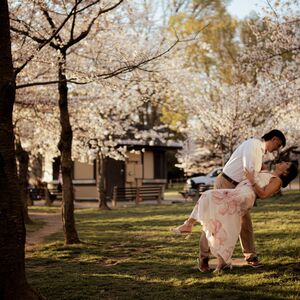 Gallery Photo 7