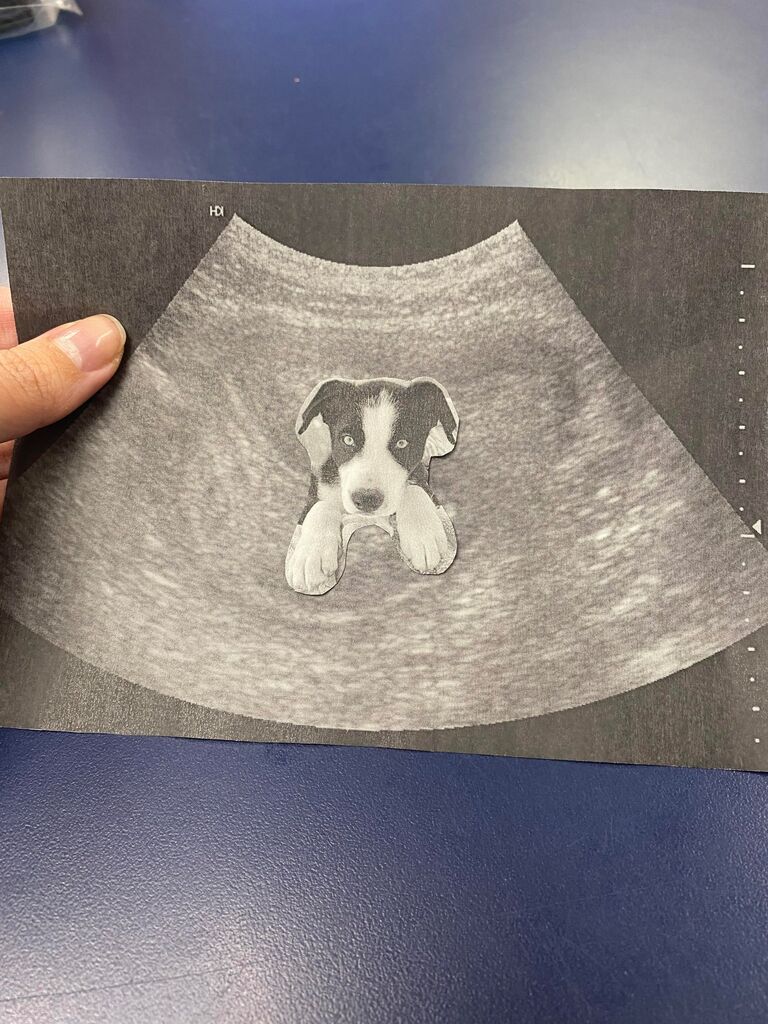 Surprise! We are now a family of five!