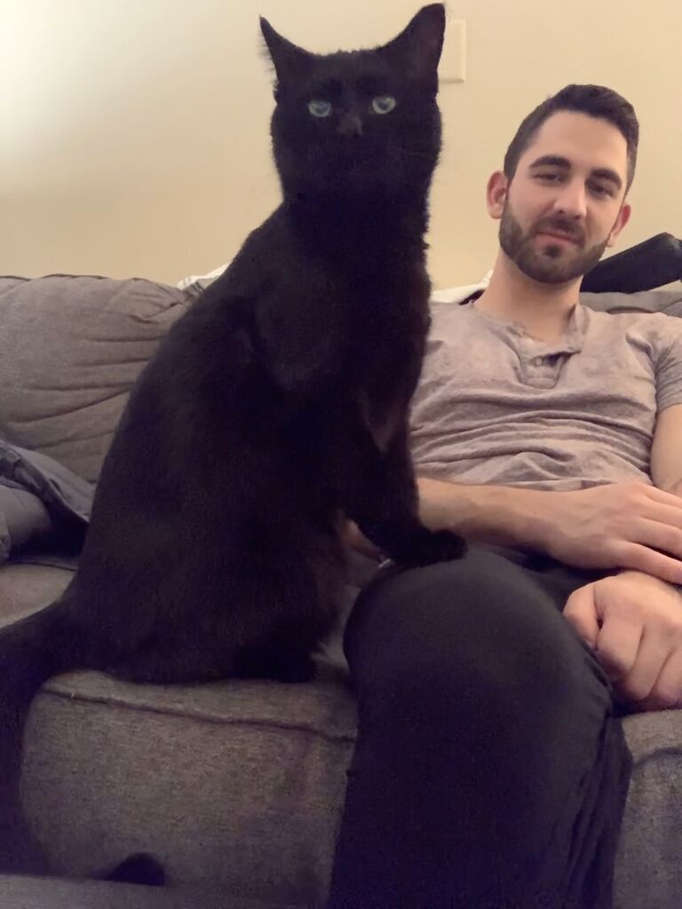 Due to Andrew's busy and irregular ER schedule, he knew he couldn't take care of a dog. He also grew up with many cats, so he decided to adopt a 'free' one (thinking it would be lower maintenance than a dog- boy was he wrong) from the streets of Alliance, OH. Beans officially moved in at the end of July. He has filled our hearts and drained our wallets ever since.