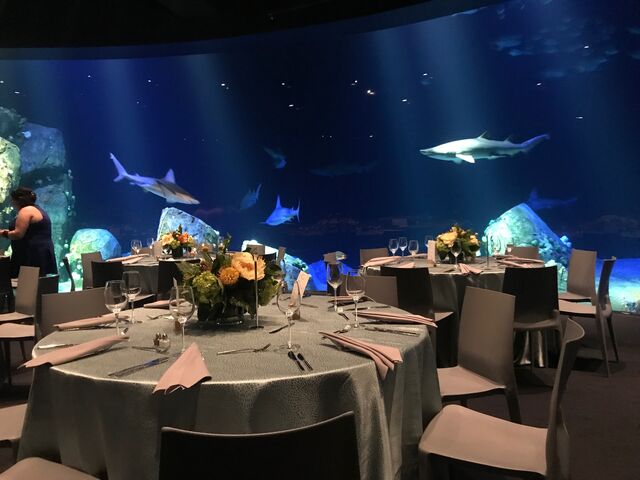 New York Aquarium | Reception Venues - Brooklyn, NY