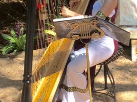 Susan Schnorr HARPIST  - Harpist - Conroe, TX - Hero Gallery 4