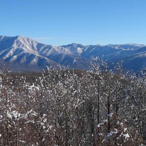 Gallery Photo 34