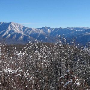 Gallery Photo 34