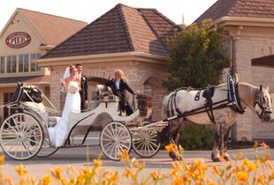 sturgeon bay yacht club wedding