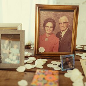 Gallery Photo 12