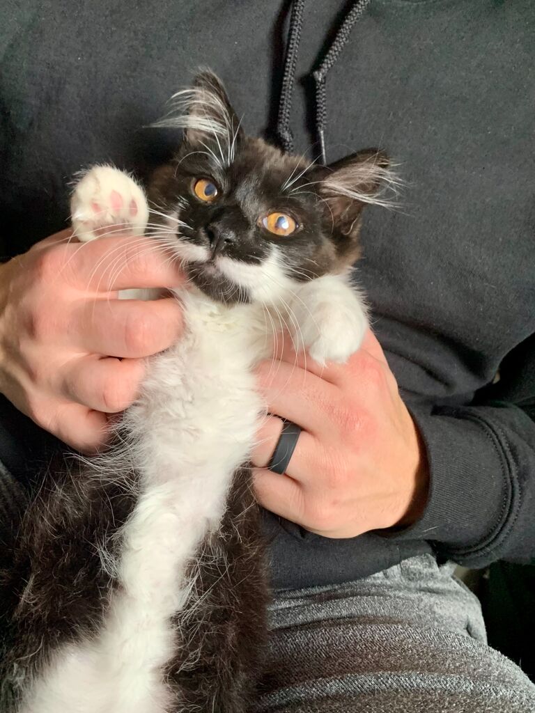 the first child