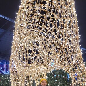 Gallery Photo 22