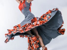 Flamenco Tropical - Flamenco Dancer - Orlando, FL - Hero Gallery 1