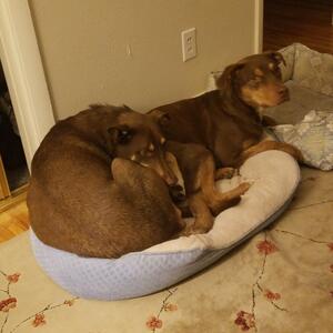 Gallery Photo 21