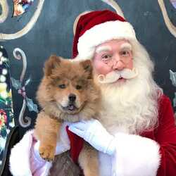 Santa Claus Visit, profile image
