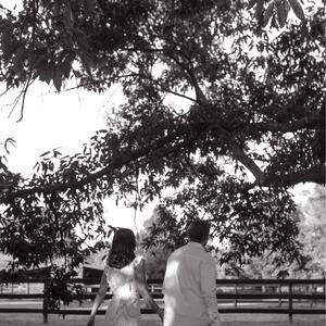 Gallery Photo 26
