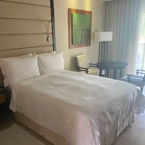 Gallery Photo 29