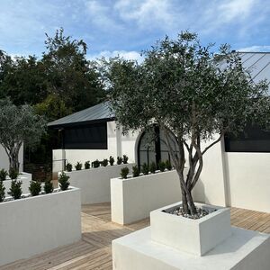 Gallery Photo 2
